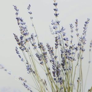 Meet your Posher, Kari